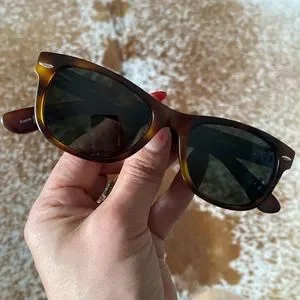 Swiss design Palm Springs tortoise sunglasses Swiss | Accessories | Swiss Design Palm Springs Tortoise  main image 4